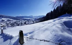 Bild 15
