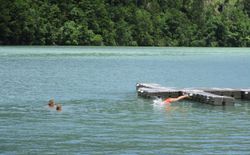 Bild 18: Sprung in den Drausee