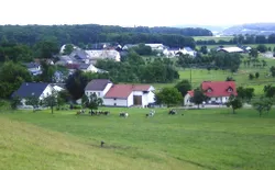 Bild 21