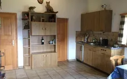 Bild 6: Wohnraum (links Eingangstüre, rechts Türe ins Badezimmer)