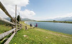 Bild 19