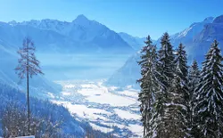 Bild 12