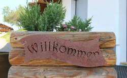 Bild 31
