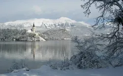 Bild 41