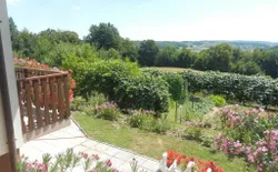 Bild 3: Ausblick vom Ferienhaus