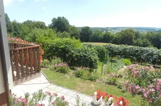 Bild 3: Ausblick vom Ferienhaus