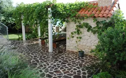 Bild 6: Garten