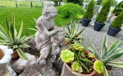 Bild 18