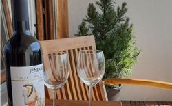 Bild 21: Balkon mit Bergpanorama