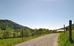 Bild 19