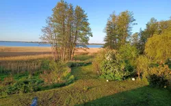 Bild 20