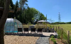 Bild 41: Garten