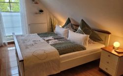 Bild 8: Schlafzimmer  Bett 1.80x2m  Kopfkissen 80x80+40x80 und Aussenrollo