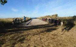 Bild 28: Ein Strandübergang an der Kernzone im Herbstlicht