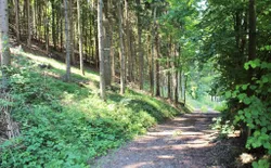Bild 21