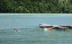 Bild 16: Sprung in der Drausee
