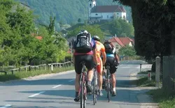 Bild 25