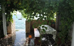Bild 18: Garten