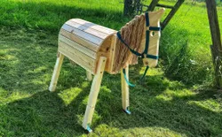 Bild 13