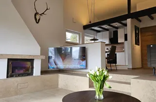 Bild 2: Kamin und Fernseher