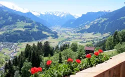 Bild 19