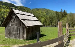 Bild 34: Bodental