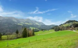 Bild 15