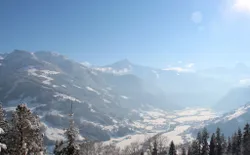 Bild 62
