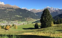 Bild 3: Bild 14