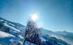 Bild 59