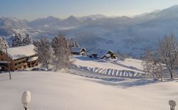 Bild 41